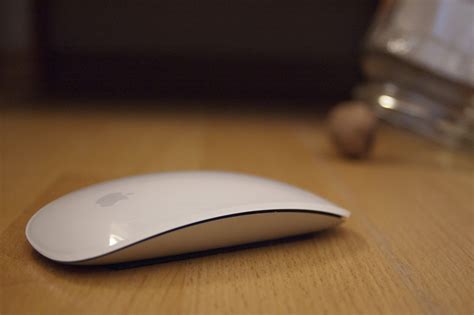 Storage Options for Apple Magic Mouse: Traditional vs. Innovative
